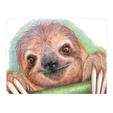 Smiling Sloth (Print Only) thumbnail