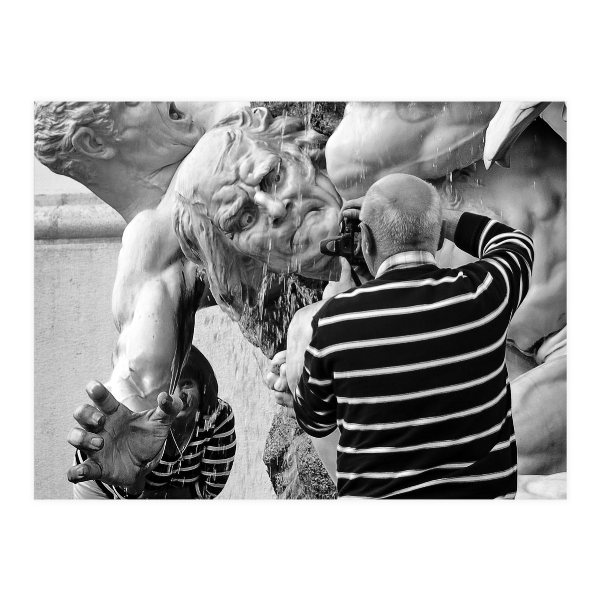 Snapshot (Print Only)