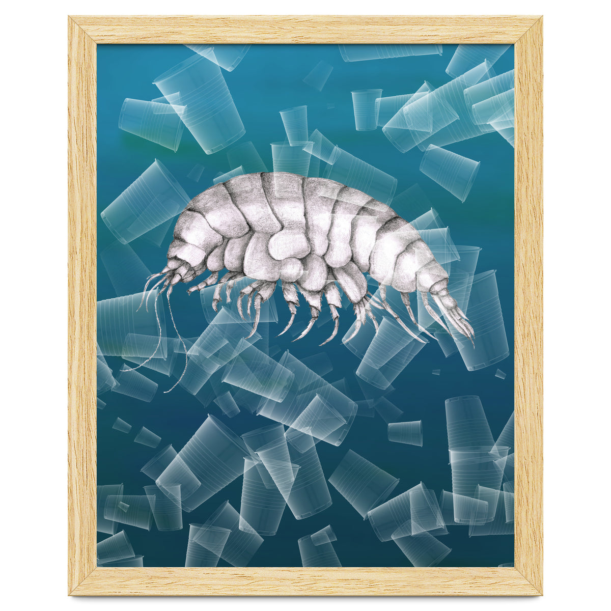 Eurythenes Plasticus