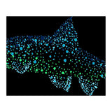 Barbel Fish (Print Only) thumbnail