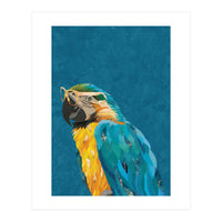 Macaw Portrait Blue Gold Glasses (Print Only)