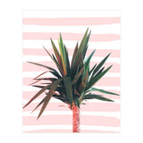 Dreamer (Print Only) thumbnail