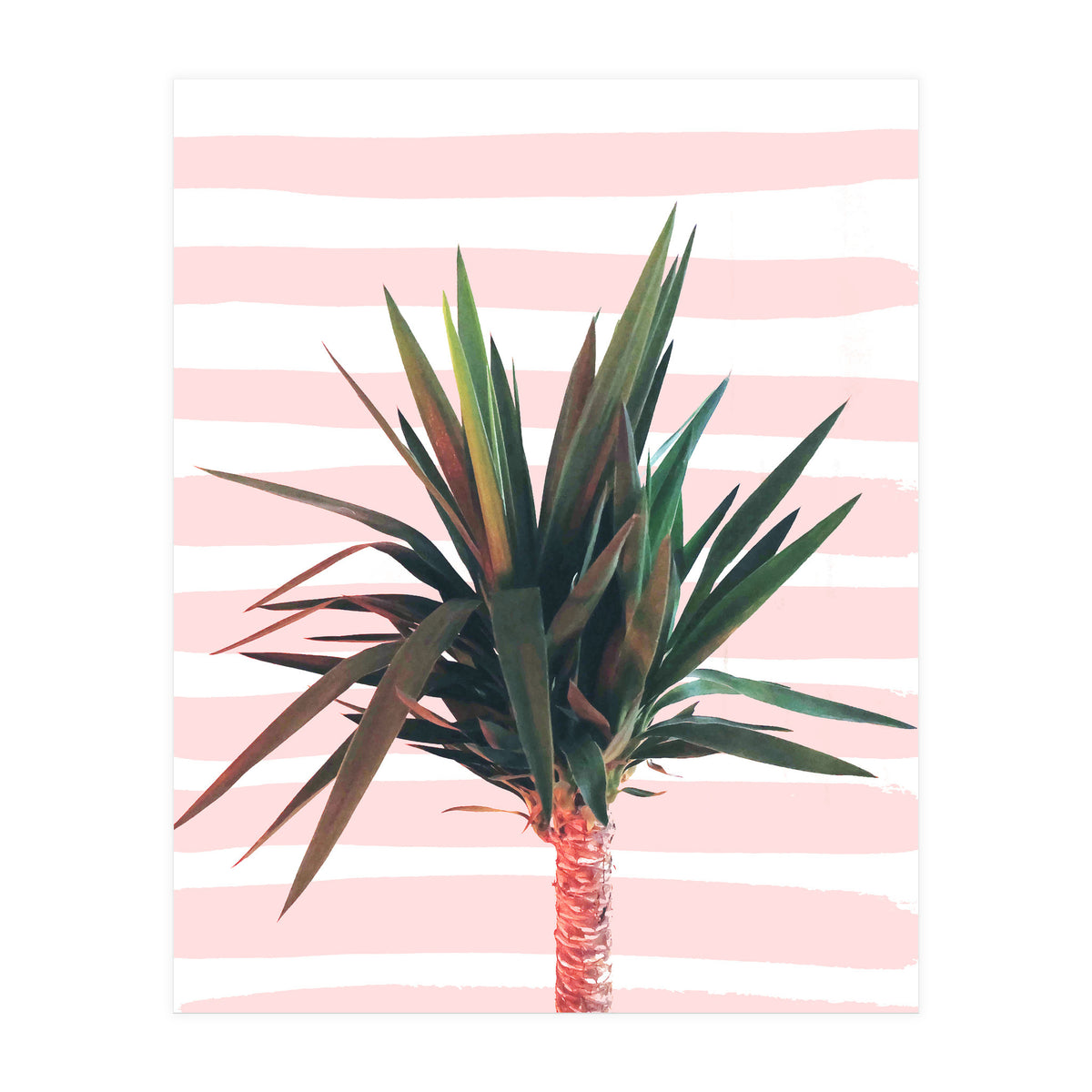 Dreamer (Print Only)