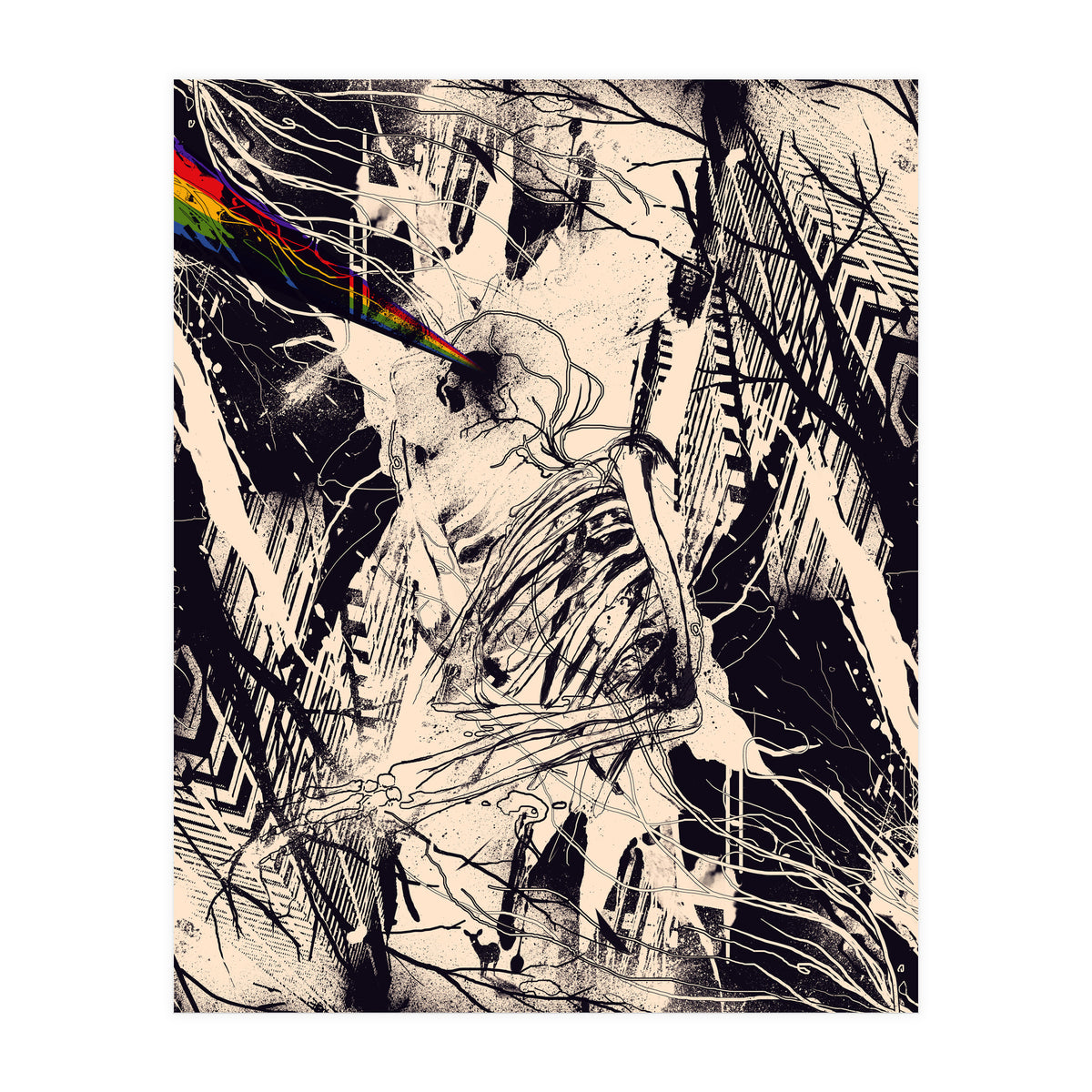 Envision (Print Only)