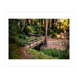 Ewoldsen Loop Bridge (Print Only) thumbnail