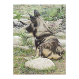African Painted Dog I (Print Only) thumbnail