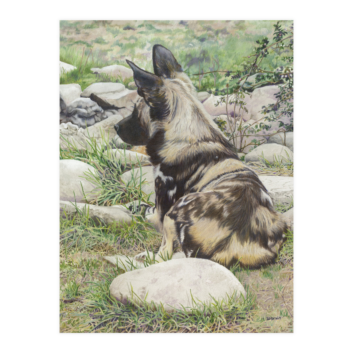 African Painted Dog I (Print Only)