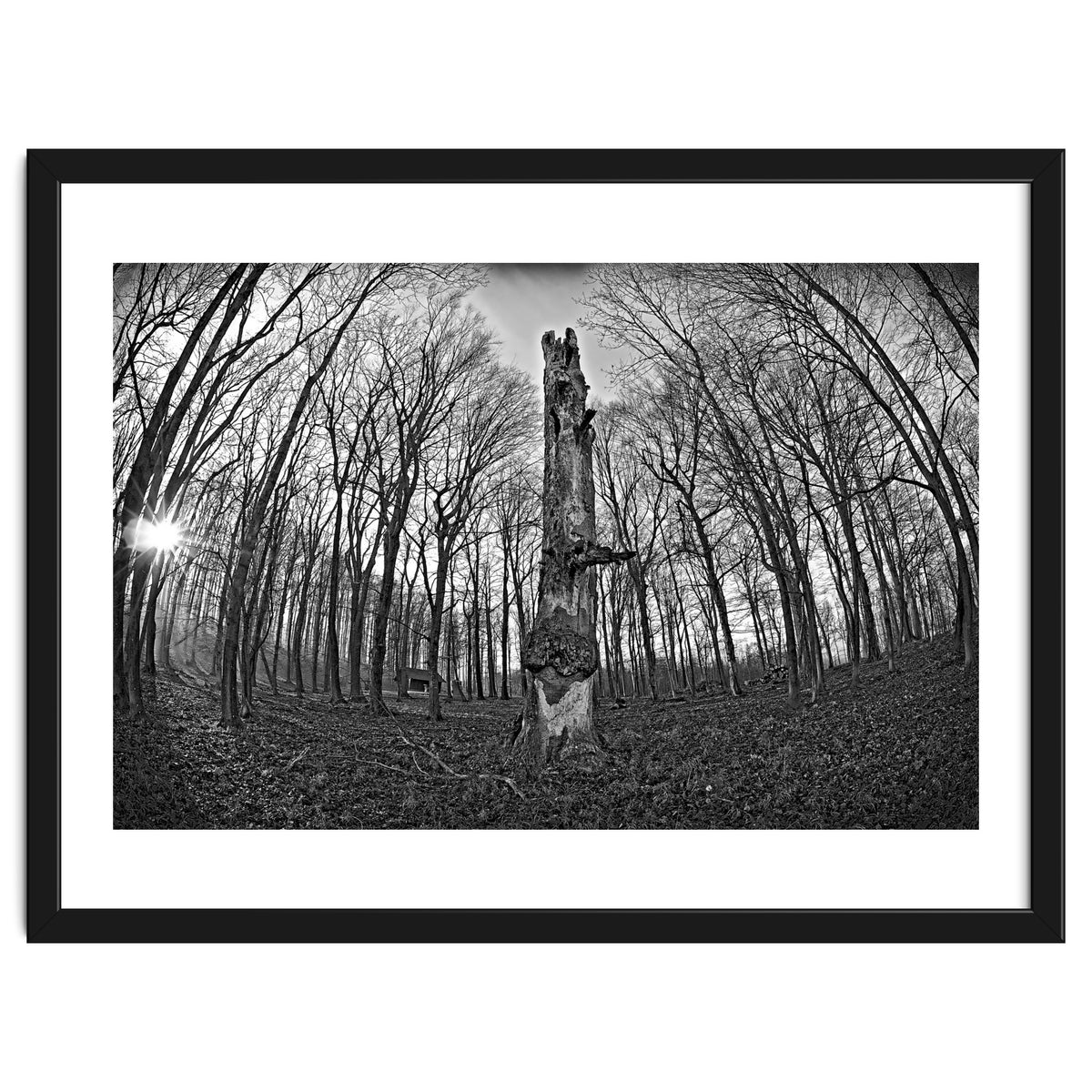 Circle of Growth and decay