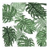 Monstera Deliciosa (Print Only) thumbnail