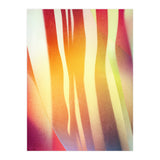 Carnival 2 (Print Only) thumbnail