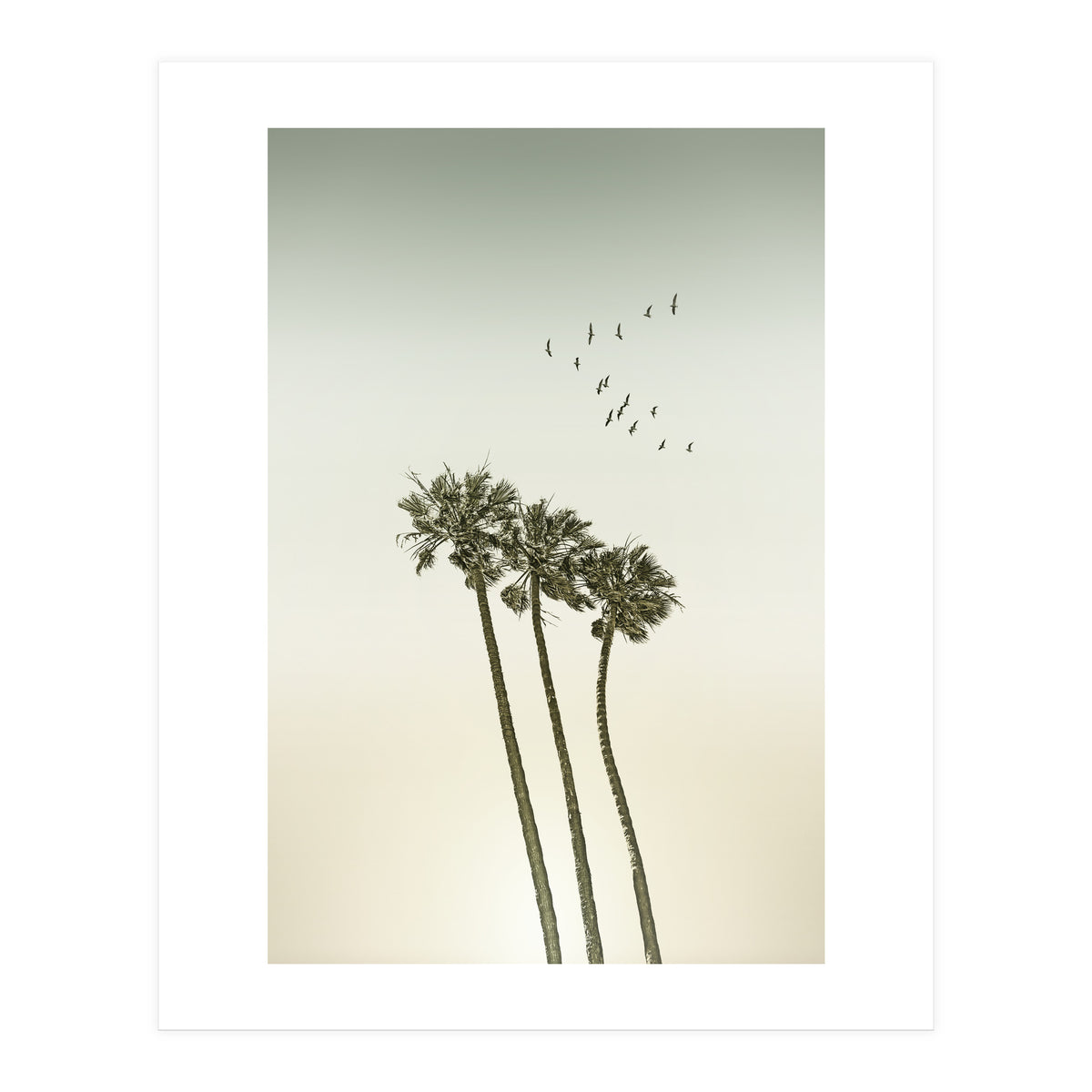 Vintage palm trees at sunset (Print Only)