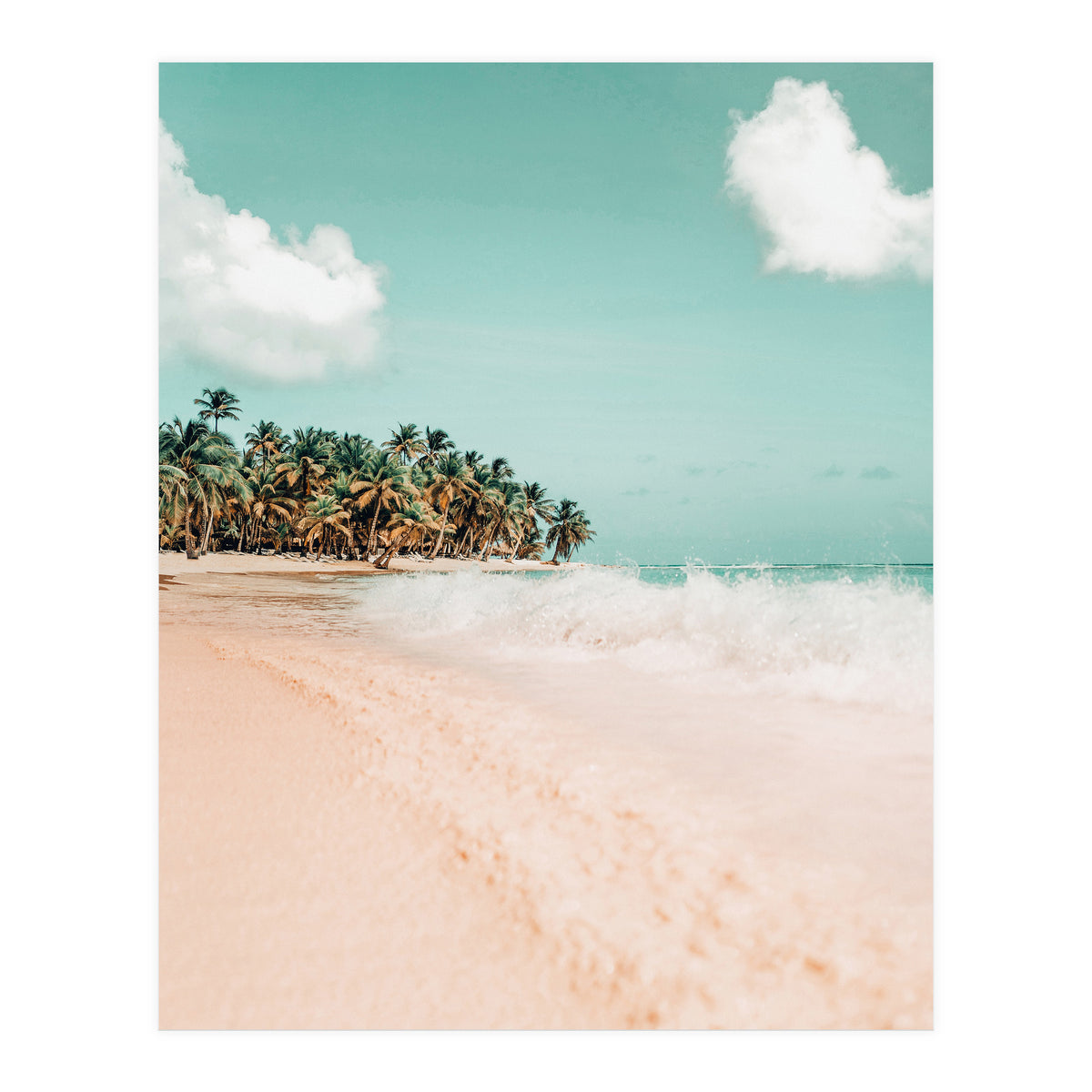 Palm Island (Print Only)