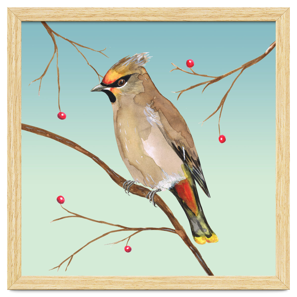 Bohemian waxwing
