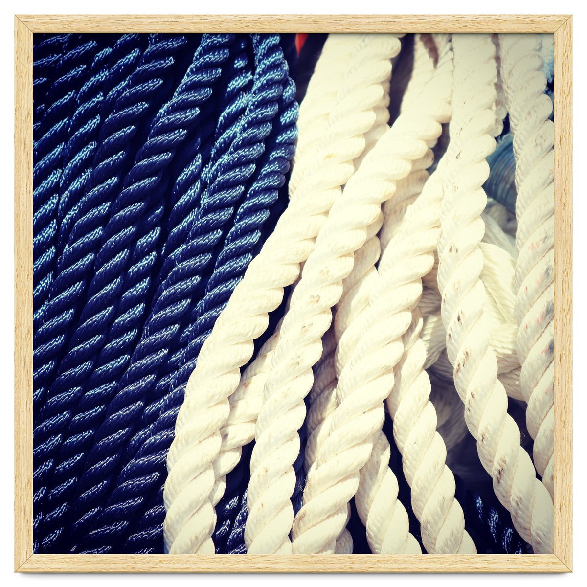 Blue and white fishing rope