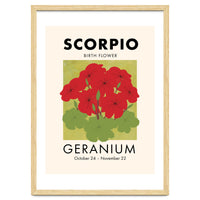 Scorpio Birth Flower Geranium