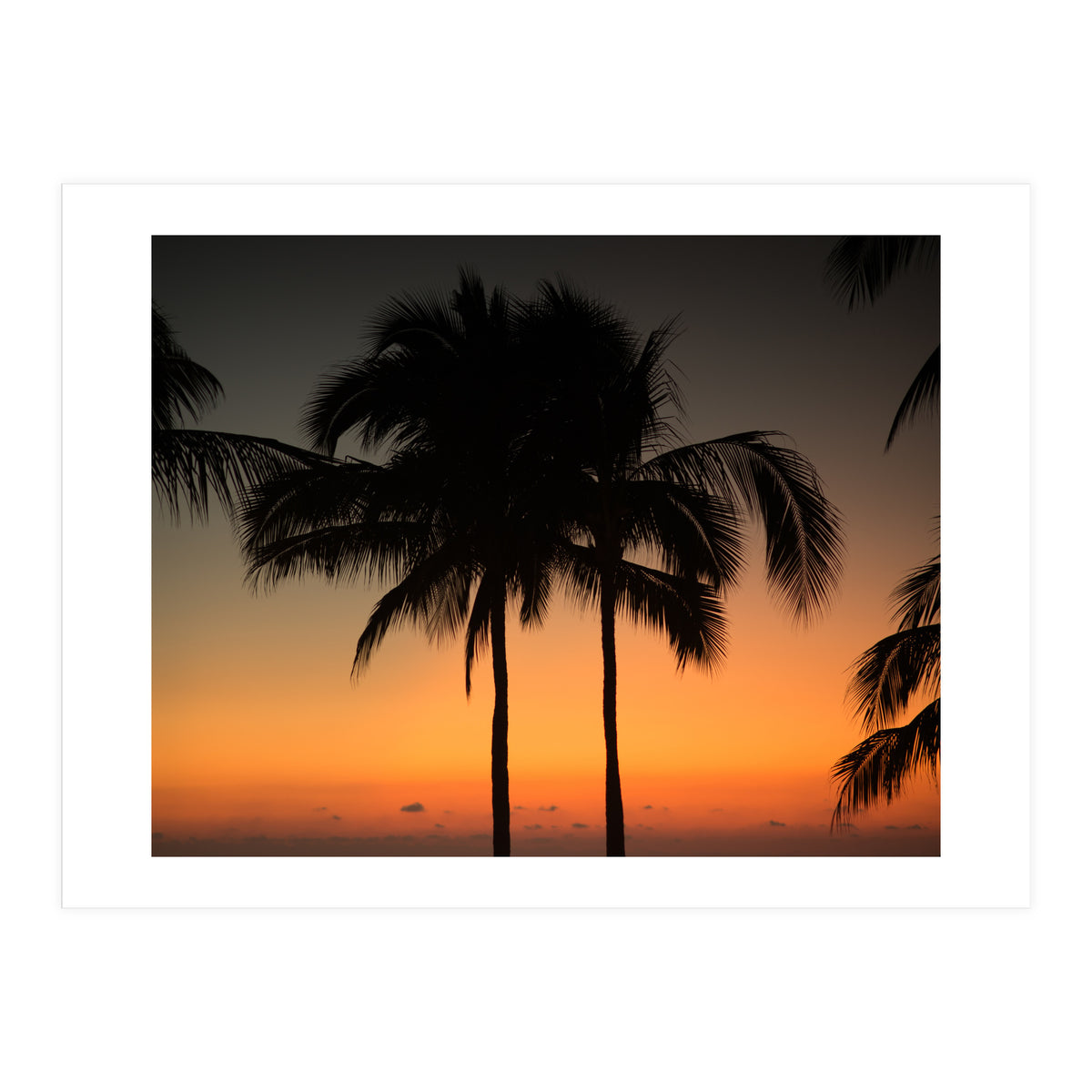 Mexico, November nights (Print Only)