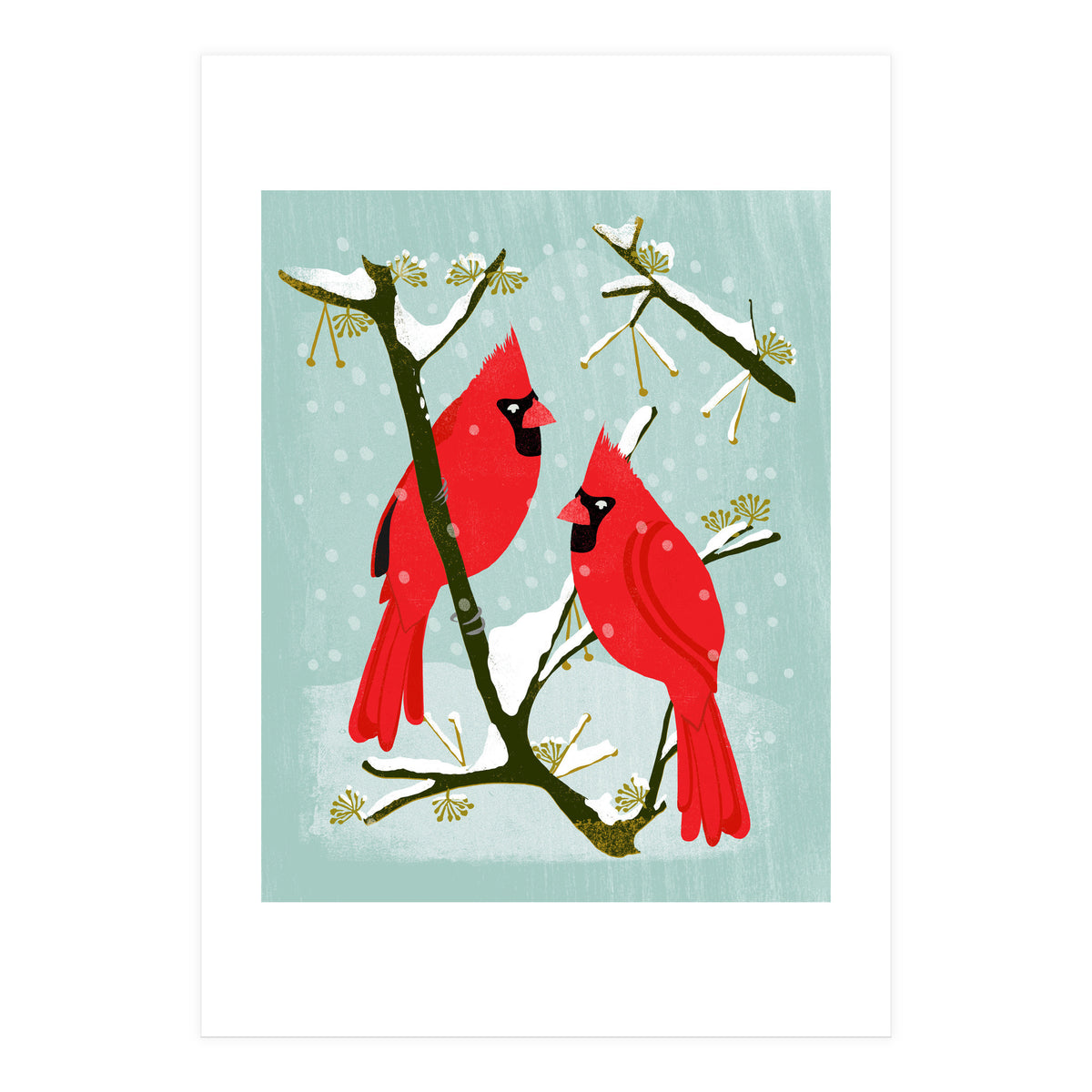 Cardinal (Print Only)