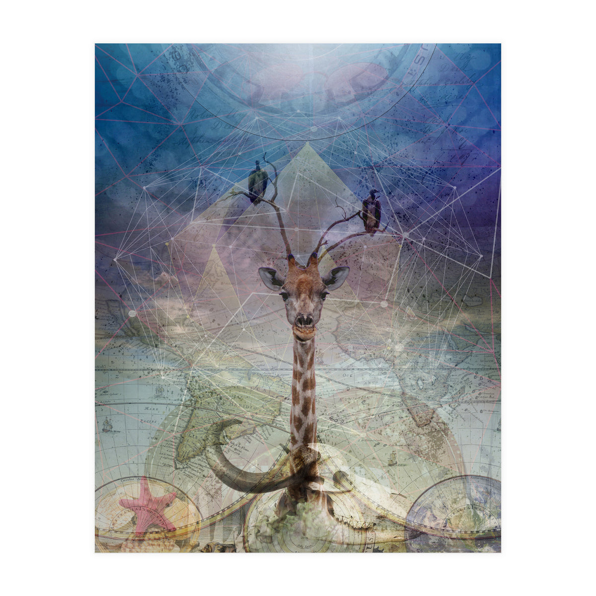 Warning (Print Only)