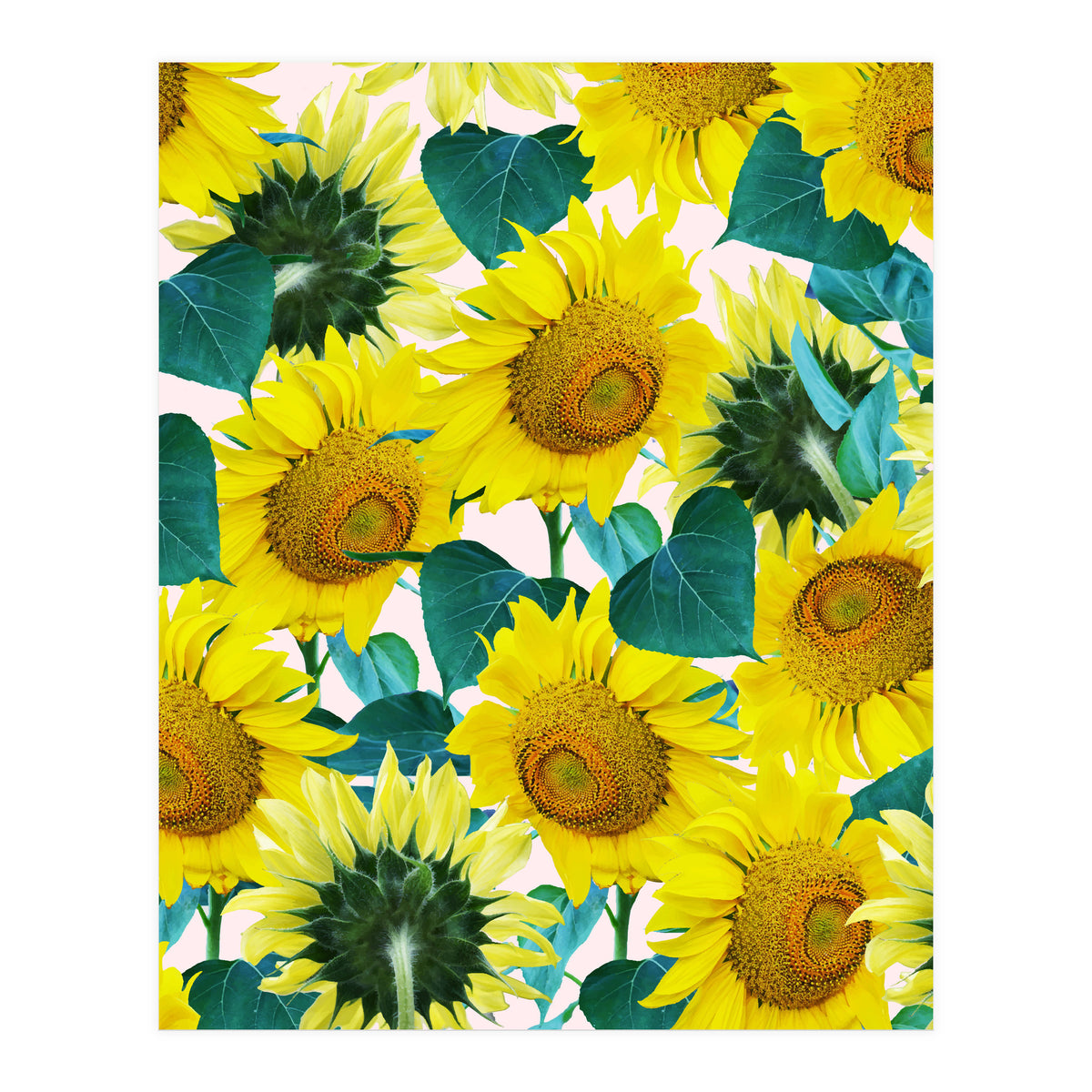 Sunflower (Print Only)