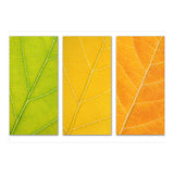Autumn Leaves (Print Only) thumbnail