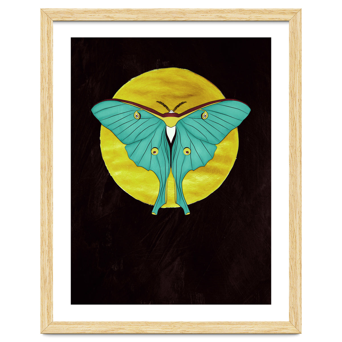Luna Moth Moon