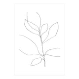 Seven Leaf Plant (Print Only) thumbnail