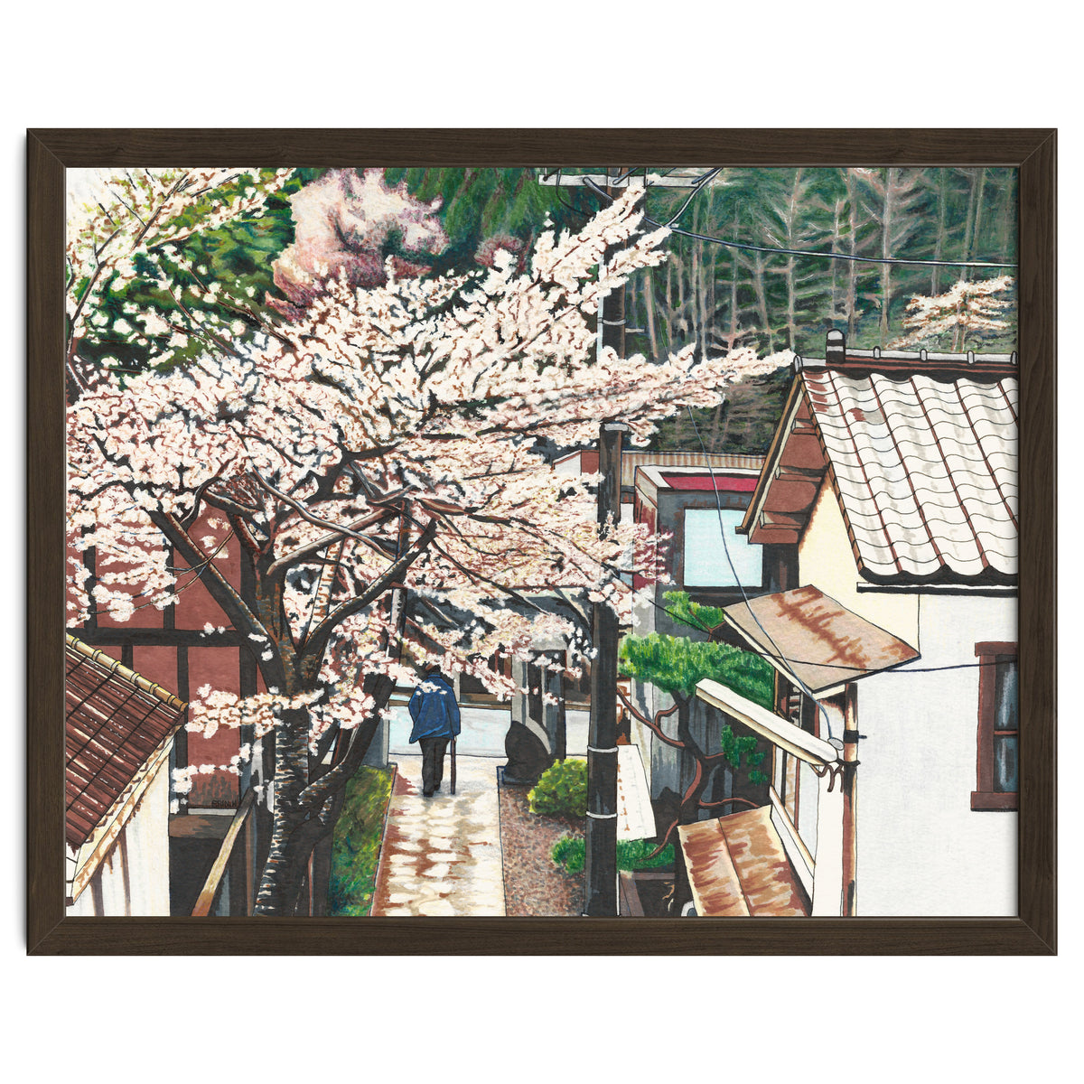 Passing by Cherry Blossoms