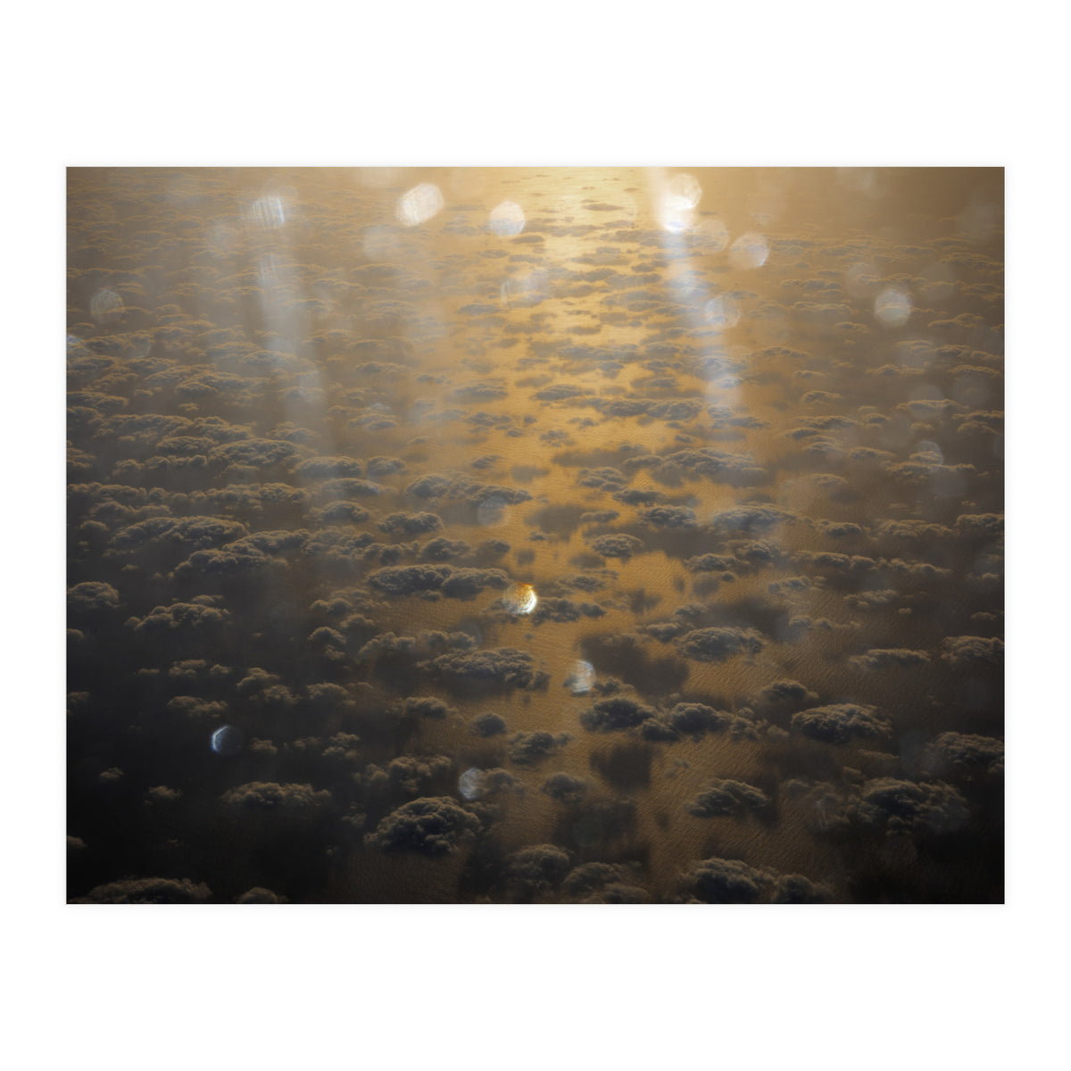 Rise & Shine (Print Only)