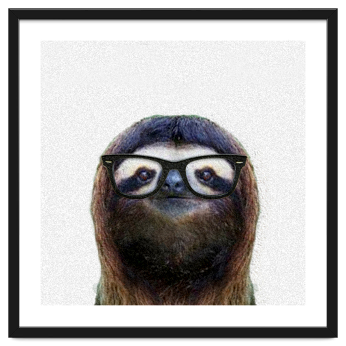Geek Sloth
