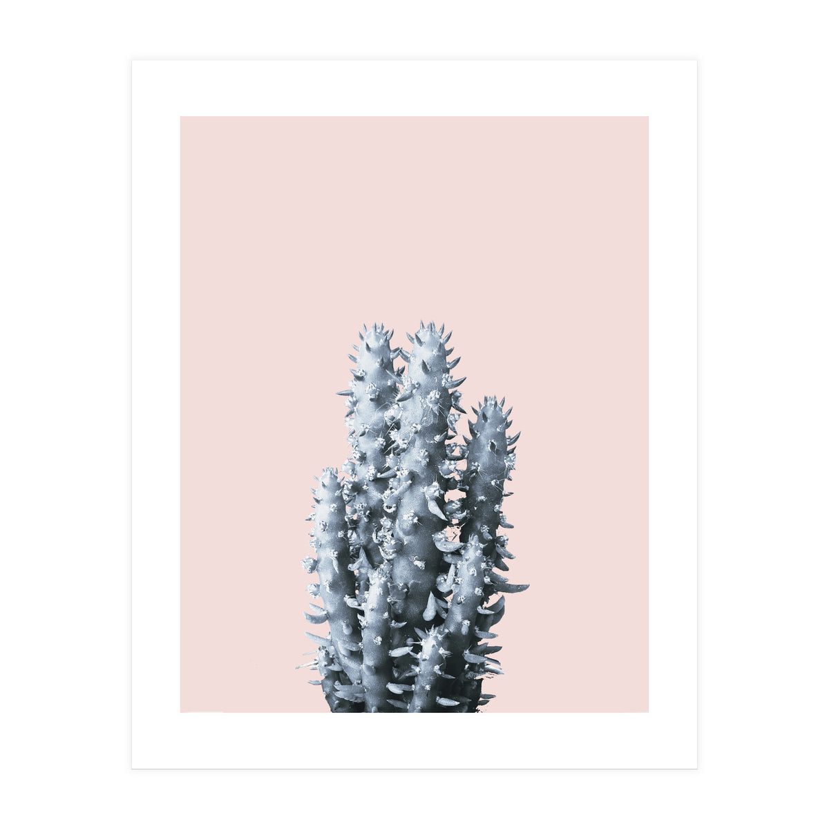 Cactus collection BL-III (Print Only)