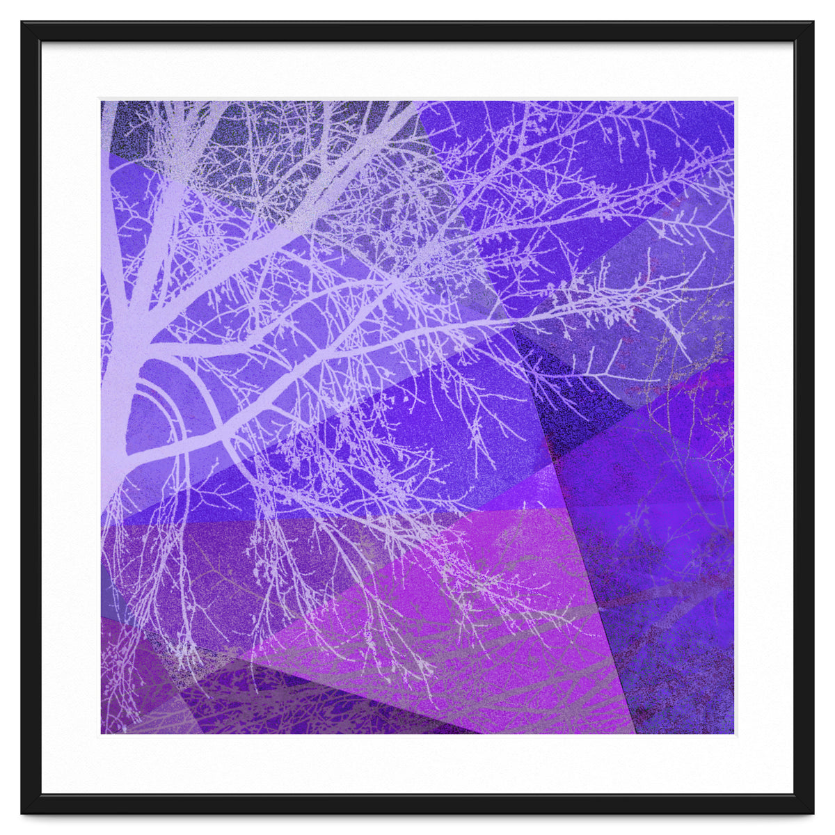 P19-D2 Trees and Triangles