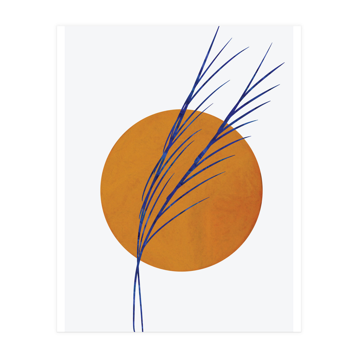 Floral Abstract Study 2  (Print Only)