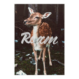Roam (Print Only) thumbnail