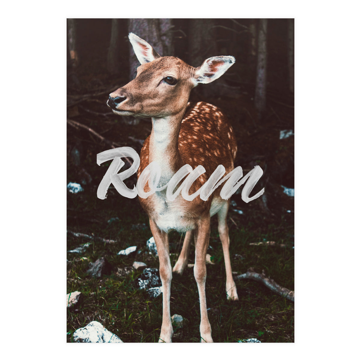 Roam (Print Only)