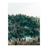 In The Wild (Print Only) thumbnail