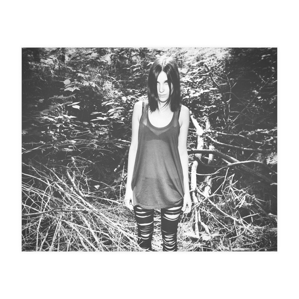 Camouflaged Animals (Print Only)