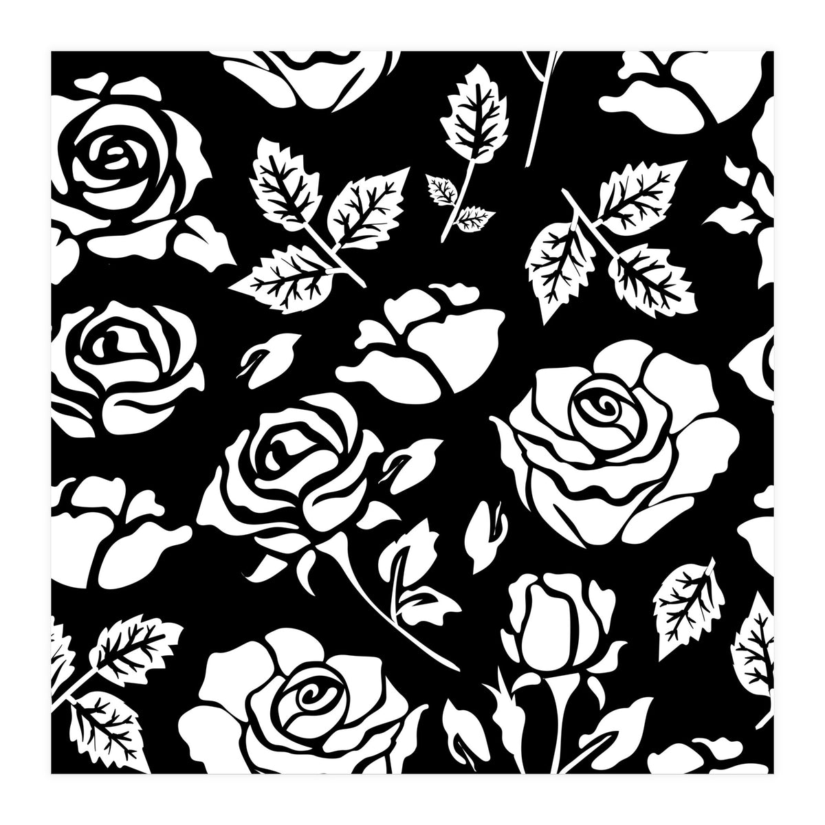 White Rose (Print Only)