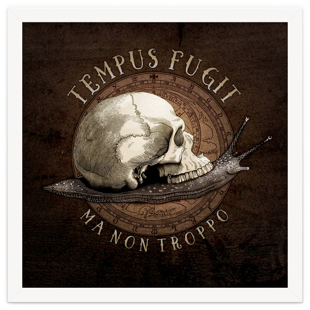 Tempus Fugit (ma non troppo)