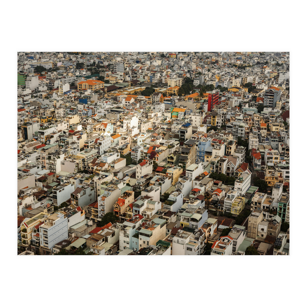 Concrete Jungle (Print Only)