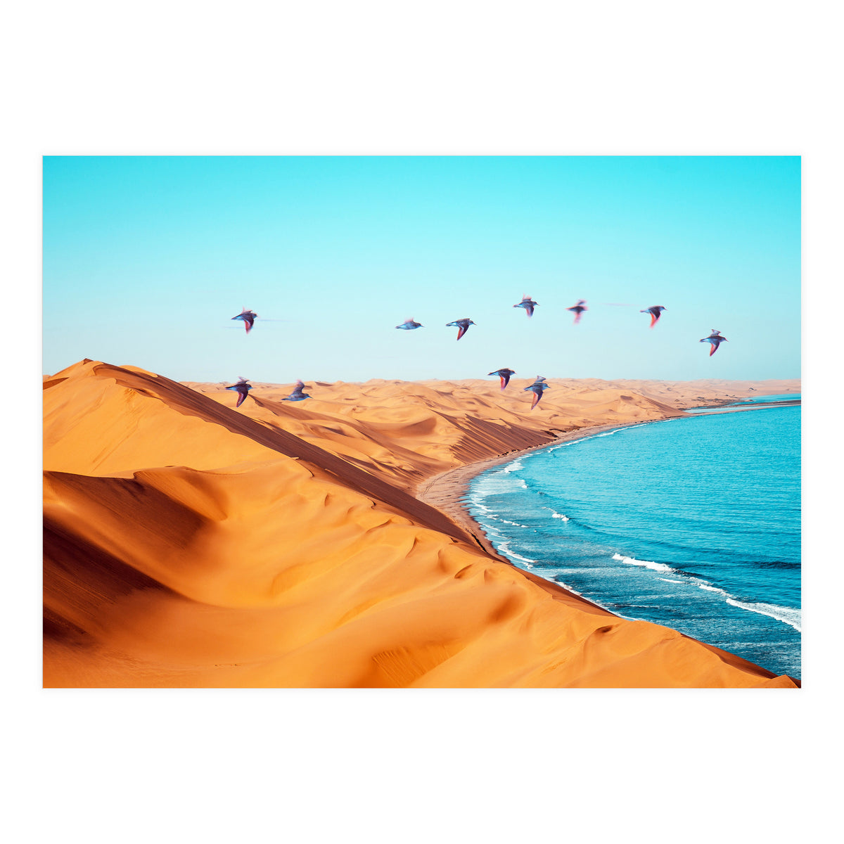 Desert Birds (Print Only)