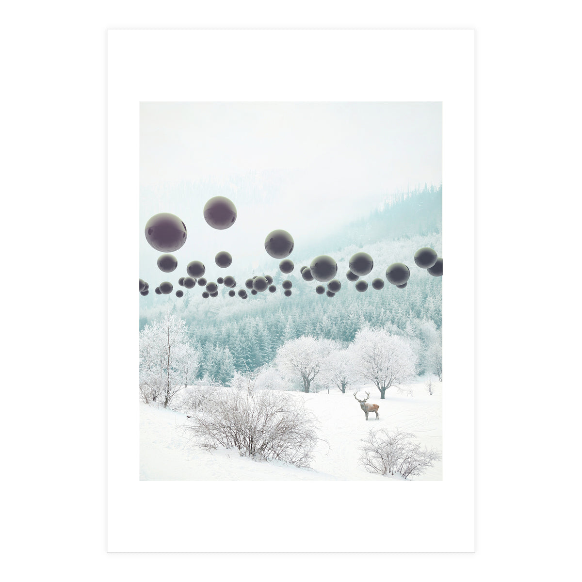 Forest Phantom (Print Only)