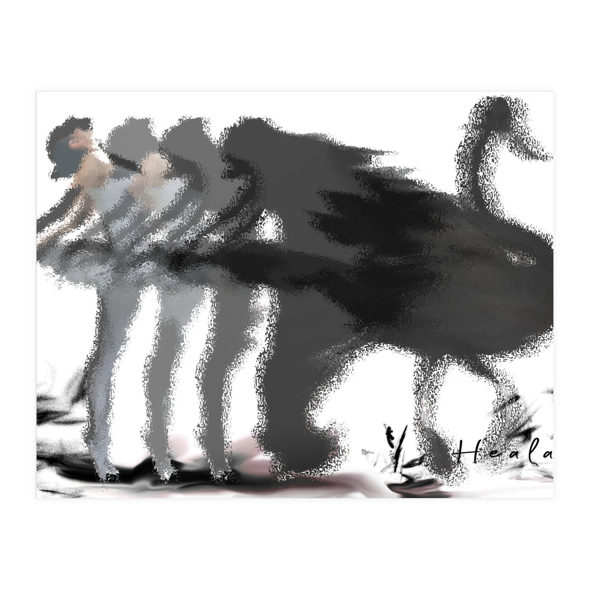 The Black Swan (Print Only)