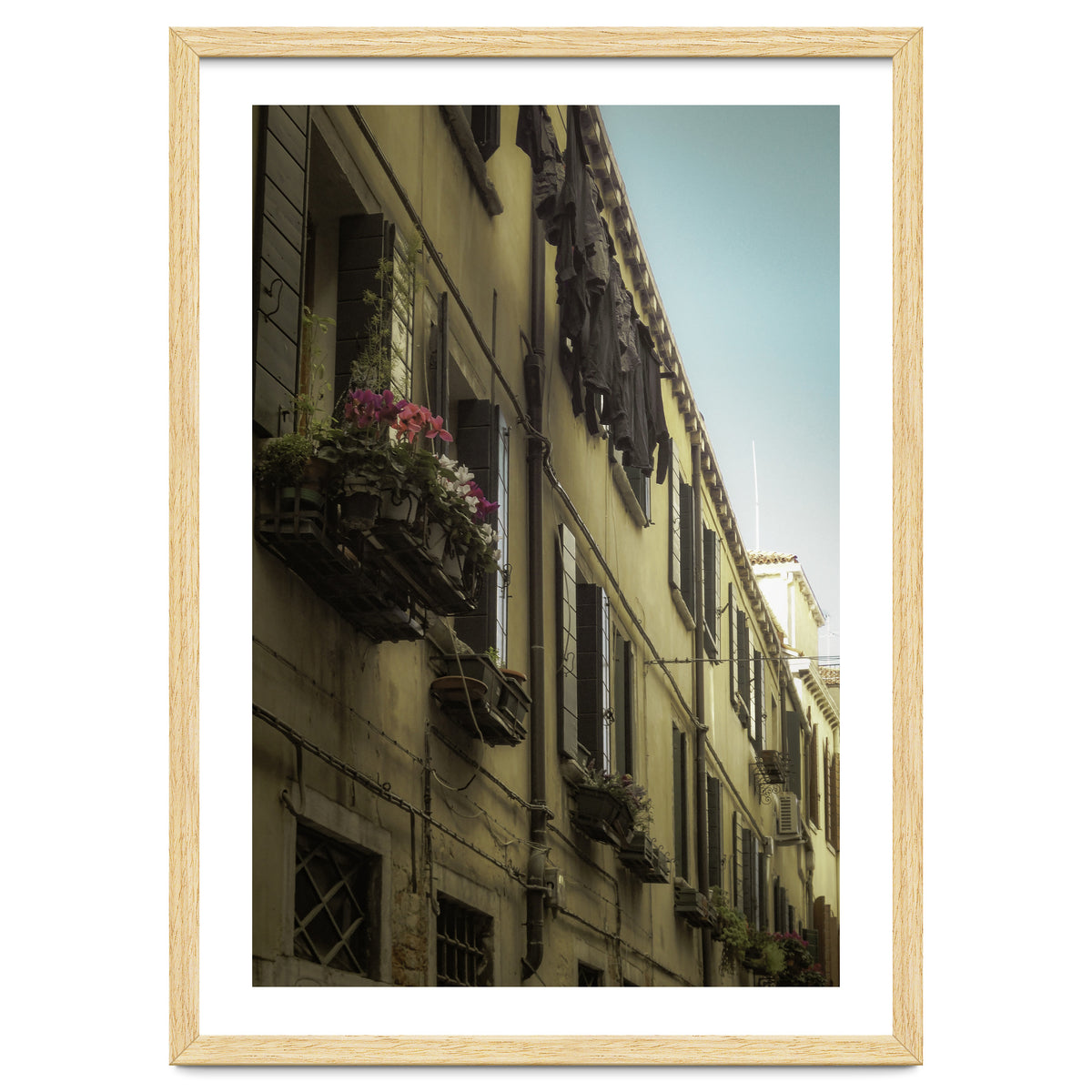 Windows From Tuscany 1