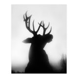 roar (Print Only) thumbnail