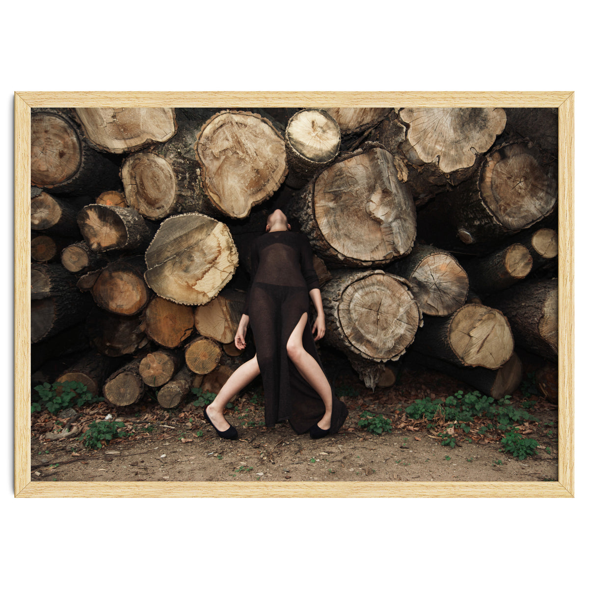 Slow Dancing Society