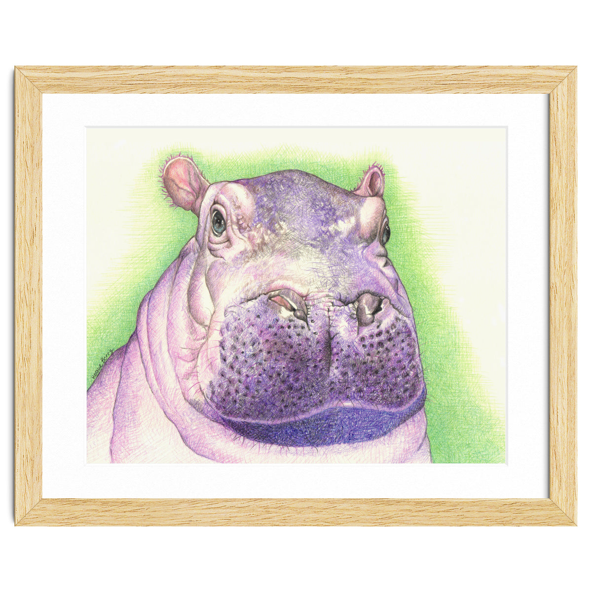 Purple Hippo
