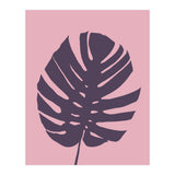 Monstera Deliciosa III (Print Only) thumbnail