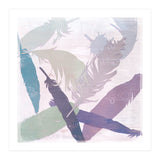 Feathers (Print Only) thumbnail