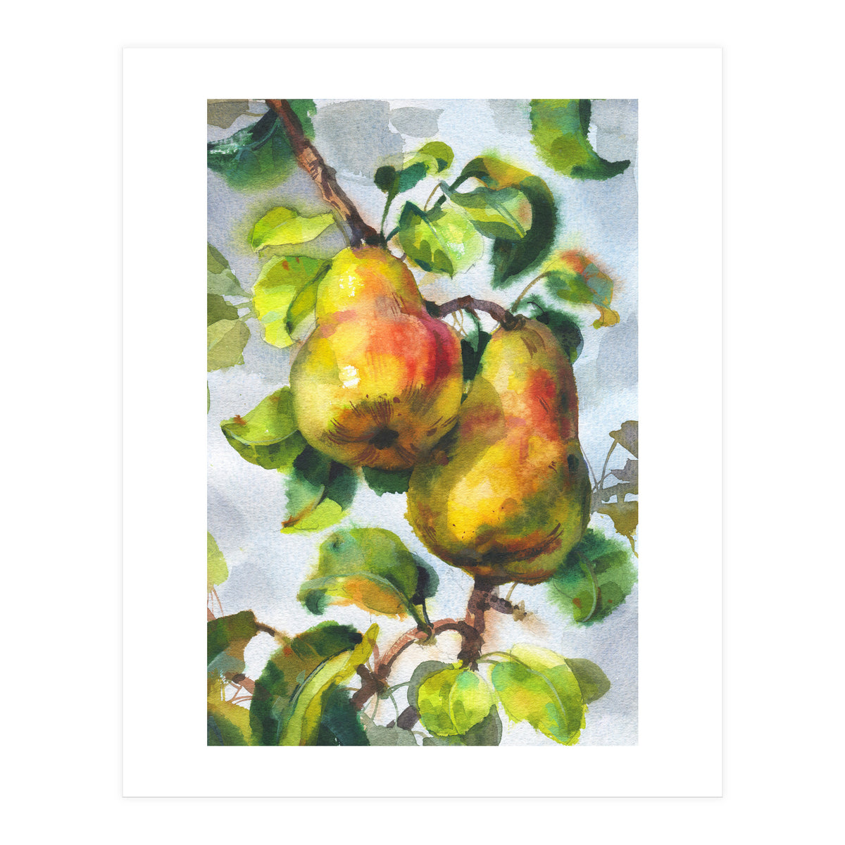 Pears (Print Only)