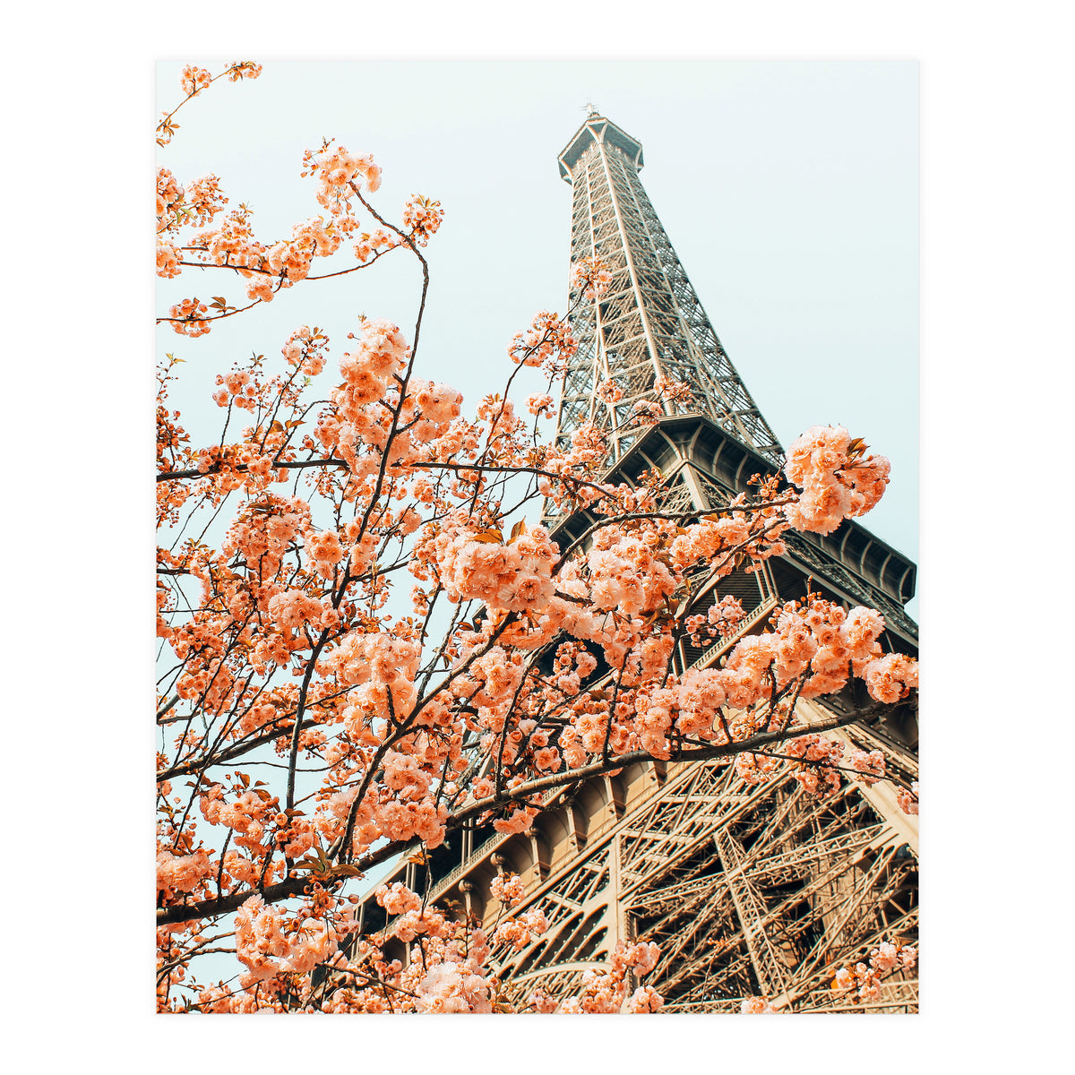 Paris in Spring | Travel Photography Eifel Tower | Wonder Building Architecture Love (Print Only)
